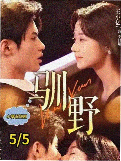 绝命毒师 好看免费电影